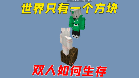 村花挑战单方块生存，装备全靠运气？