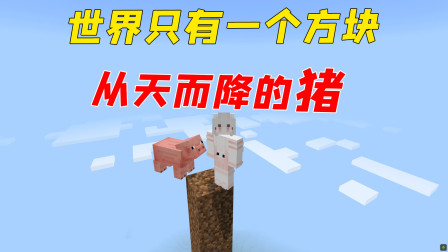 从天而降的猪，却凭空消失了？