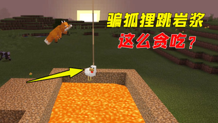 骗狐狸跳岩浆！为了吃小鸡，这狐狸拼命了