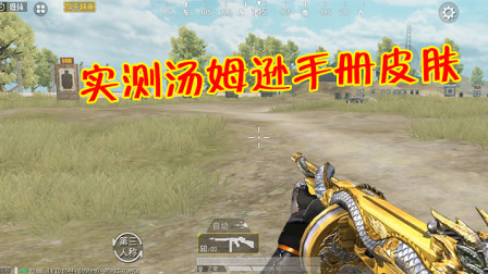 和平精英：训练场实测汤姆逊手册皮肤，机瞄效果令人惊喜！