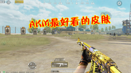 和平精英：AKM最好看的一款皮肤，玩家呼吁光子改成特效枪皮！