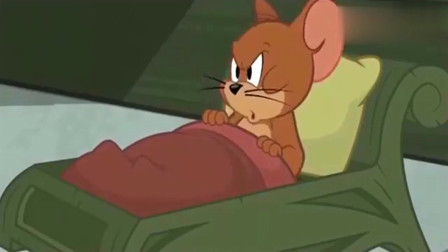 猫和老鼠:汤姆给杰瑞织毛衣,还抱着杰瑞睡觉,杰瑞都受不了了