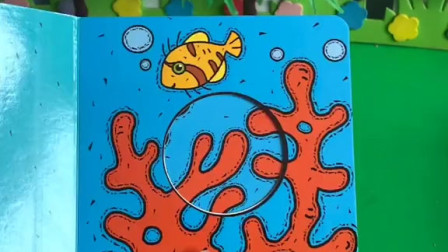 小金鱼长大了，变成了什么呢？