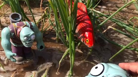 金鱼好渴啊，它没有在水里吗？