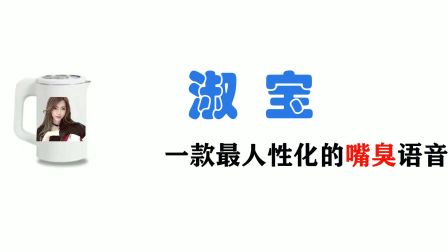 淑 宝