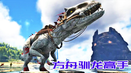 表面驯龙高手！实则方舟龙蛋商人、方舟