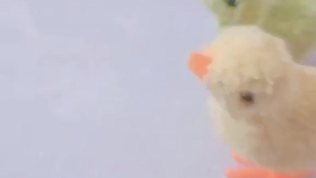 小鸭子饿了，它们要吃什么呢？