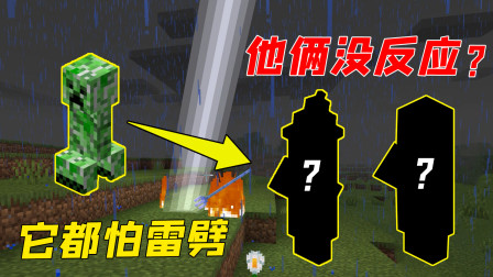 苦力怕都怕雷劈！他们却不受影响？