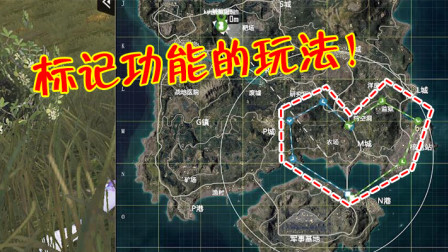 和平精英：玩家利用小地图来告白，连搜房子都是爱你的形状！