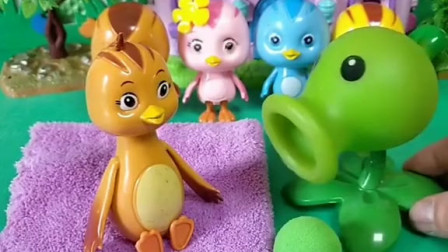 豌豆的孩子还不出生，这是怎么回事呢？