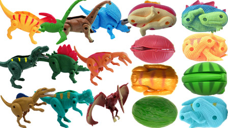 超级飞侠带来远古动物和侏罗纪恐龙变形蛋玩具