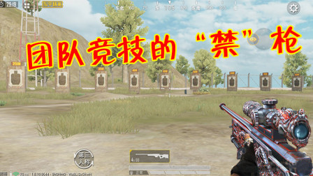 和平精英：这2把枪是公认的团竞禁枪，一旦进场就是称霸！