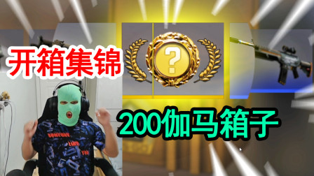 CSGO开箱：200个伽马武器箱集锦，头套和金色暴龙的力量！