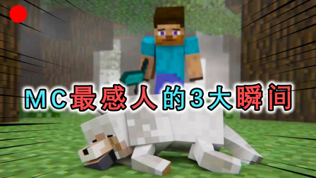 村长的游戏秘籍 MC里3个最感人的瞬间，你还记得等你回家的狗狗吗？