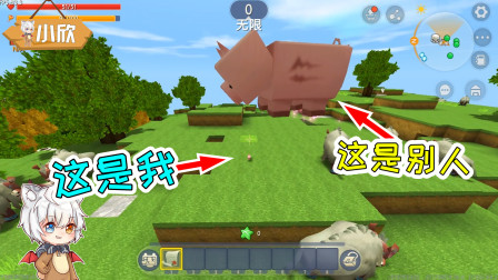迷你世界：变成迷你小猪就不用学习了吗？长肥了还会被卖掉的