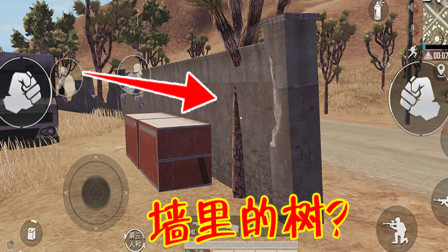 和平精英：沙漠图网红打卡点公布，这棵树也太有灵魂了！