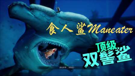 《食人鲨Maneater》小许成为海洋的霸主第四步！VS顶级双髻鲨！