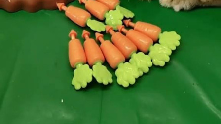 兔子的小孩不见了，它的妈妈会发现吗？