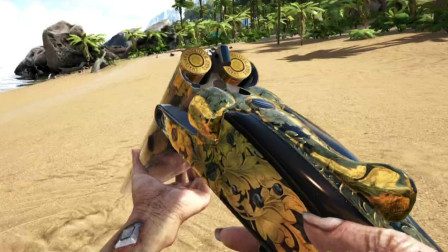 最强武器？我充了998就给我这不把枪？方舟