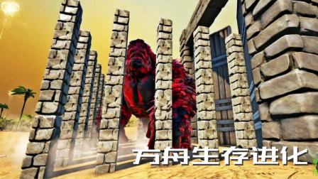 最强卡龙王！驯服定级大金刚、方舟