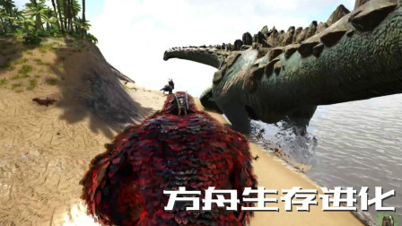 红皮金刚对战泰坦！方舟经验补给包、方舟