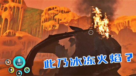 重返冰盖之上！我发现了冰冻火焰、零度之下