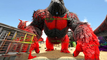 金刚驯服后不翼而飞！神秘力量又出现了、方舟