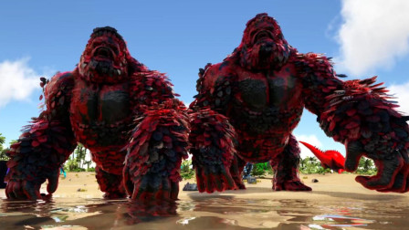 你渴望一个猩二代吗？战斗力超群那种、方舟