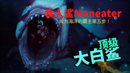 《食人鲨Maneater》小许成为海洋的霸主第五步！VS顶级大白鲨！