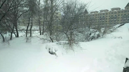 黑龙江省黑河市嫩江市的大暴雪，一人多高