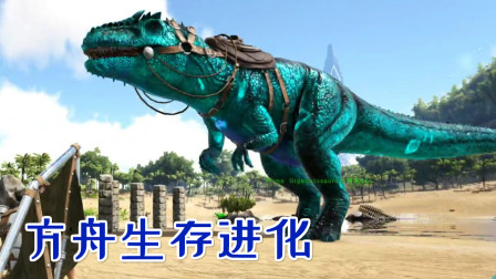 浪迹恶魔之岛！等待一只永恒BOSS、方舟