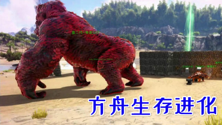 猩红金刚元素进化！变成了更强的自己、方舟