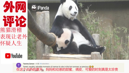 国宝熊猫日常滑稽卖萌视频火到国外，YouTube外国网友：我也想抱着熊猫！