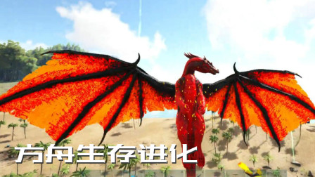 烈焰火龙驯服！飞行坐骑鸟枪换炮、方舟