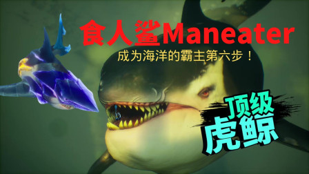 《食人鲨Maneater》小许成为海洋的霸主第六步！VS顶级虎鲸！