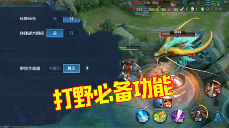 王者荣耀：S20赛季打野玩家一定要开启的一个功能，堪比外挂！