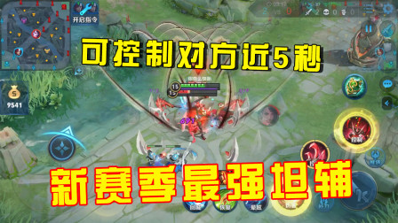 王者荣耀：S20赛季最厉害的坦辅，上赛季爆火如今无人问津