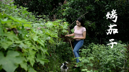 管子哥要做烧烤 阳小月摘点茄子辣椒一起打平伙