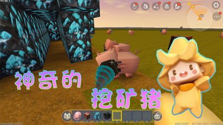 迷你世界：神奇的猪猪，居然能帮阿乾挖矿？你知道是怎么做的吗