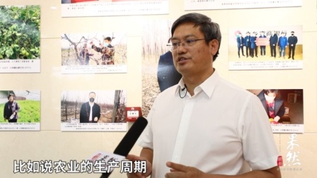 省农担董事长魏华祥: 市场化运作与数字化