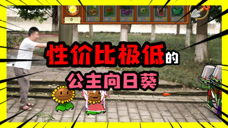 植物大战僵尸我的世界真人 性价比极低的公主向日葵，这也太坑啦