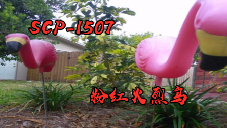 SCP基金会：编号1507，塑料制的粉红火烈鸟！