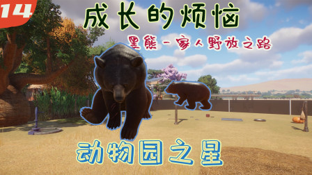 Planet Zoo动物园之星-成长的烦恼之黑熊一家人回归野外的原因