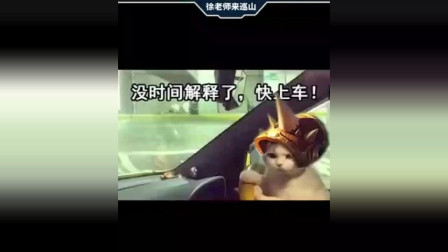 徐老师来巡山：龙龟操作666，就这么把大树引进了泉水？
