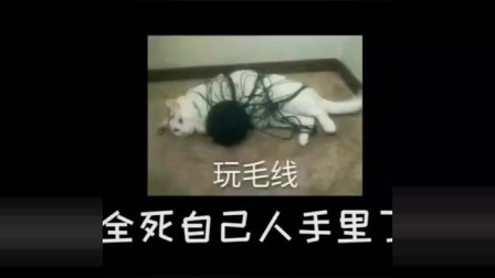 徐老师来巡山：好好的一波团战，怎么全死自己人手里了？