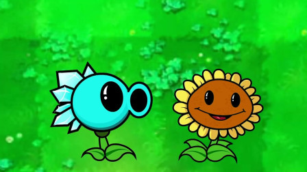 植物打 战僵尸   植物大战僵尸