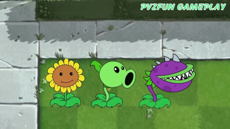 植物大战僵尸     魔法僵尸的魔法