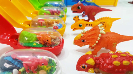 恐龙世界玩具大全，三角龙甲龙的神奇恐龙蛋，会孵化出什么呢？