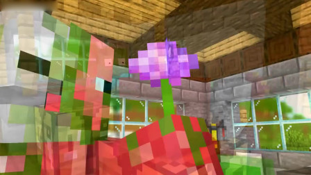Minecraft动画：怪物学院 情人节花盆