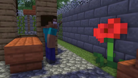 Minecraft动画《恶作剧时刻》，捉弄him凋零骷髅有一手！